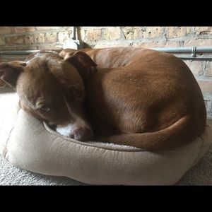 Meet your Posher, Kaycee